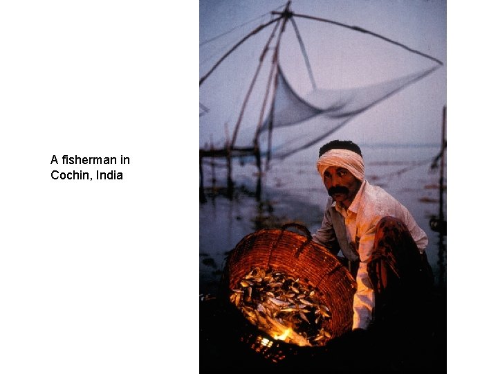 A fisherman in Cochin, India 