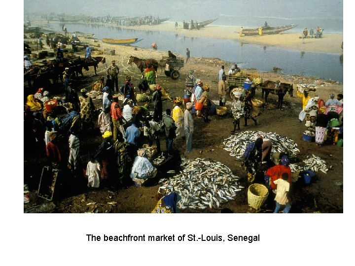 The beachfront market of St. -Louis, Senegal 