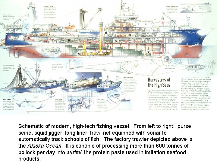 Schematic of modern, high-tech fishing vessel. From left to right: purse seine, squid jigger,