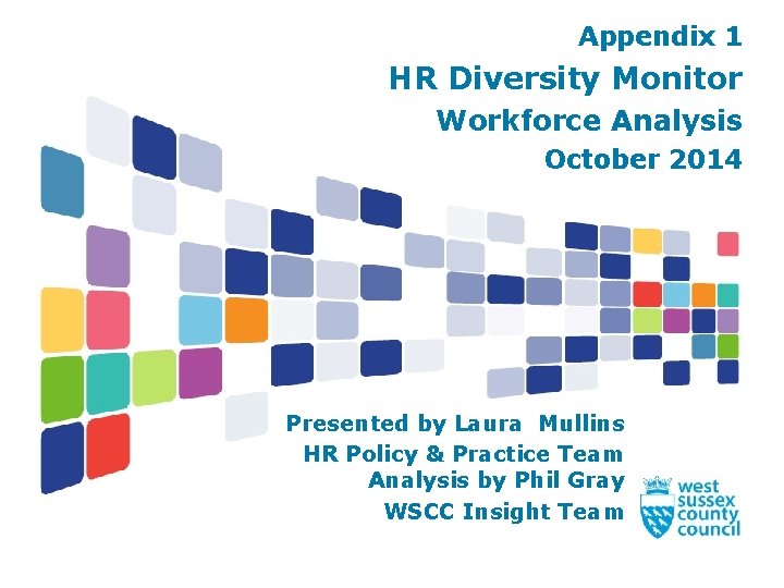 Appendix 1 HR Diversity Monitor Workforce Analysis October 2014 Presented by Laura Mullins HR