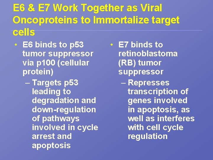 E 6 & E 7 Work Together as Viral Oncoproteins to Immortalize target cells