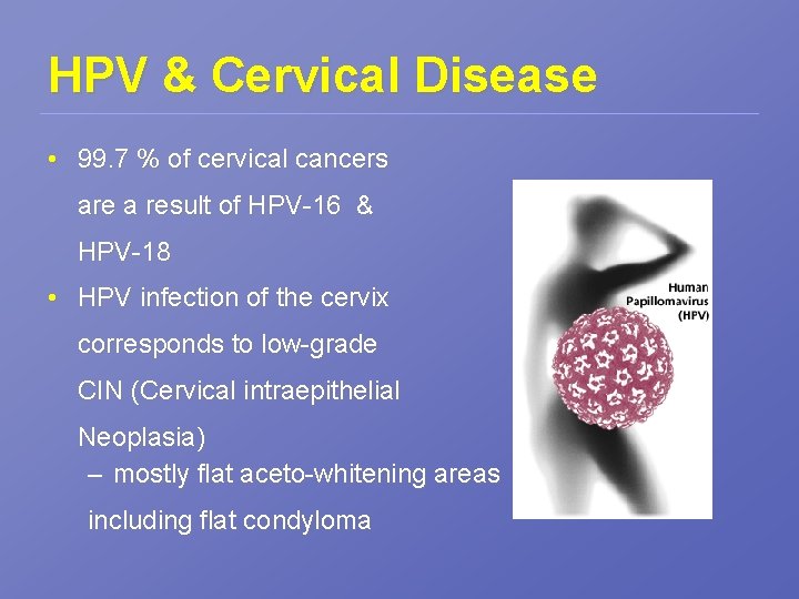 HPV & Cervical Disease • 99. 7 % of cervical cancers are a result