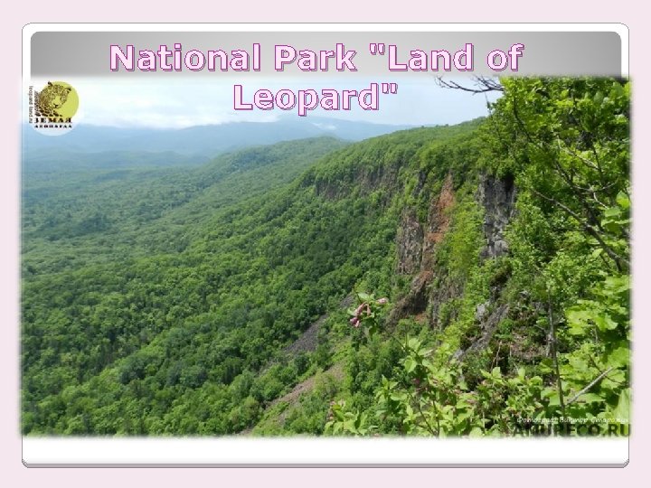 National Park "Land of Leopard" 