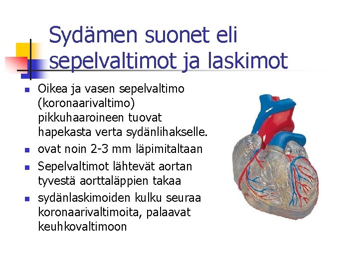 Sydämen suonet eli sepelvaltimot ja laskimot n n Oikea ja vasen sepelvaltimo (koronaarivaltimo) pikkuhaaroineen