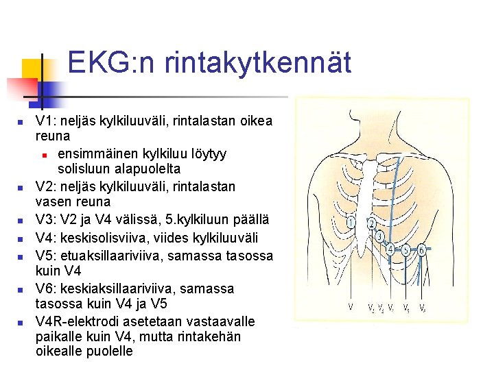 EKG: n rintakytkennät n n n n V 1: neljäs kylkiluuväli, rintalastan oikea reuna