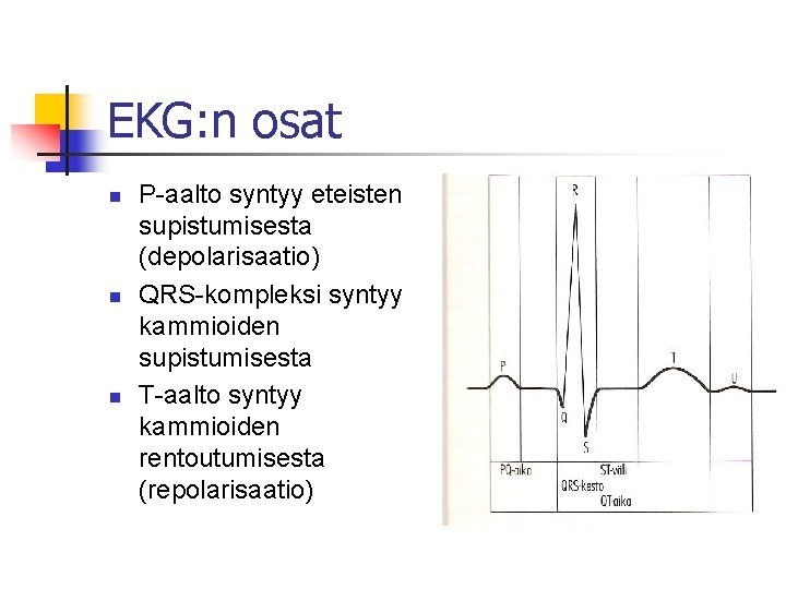 EKG: n osat n n n P-aalto syntyy eteisten supistumisesta (depolarisaatio) QRS-kompleksi syntyy kammioiden