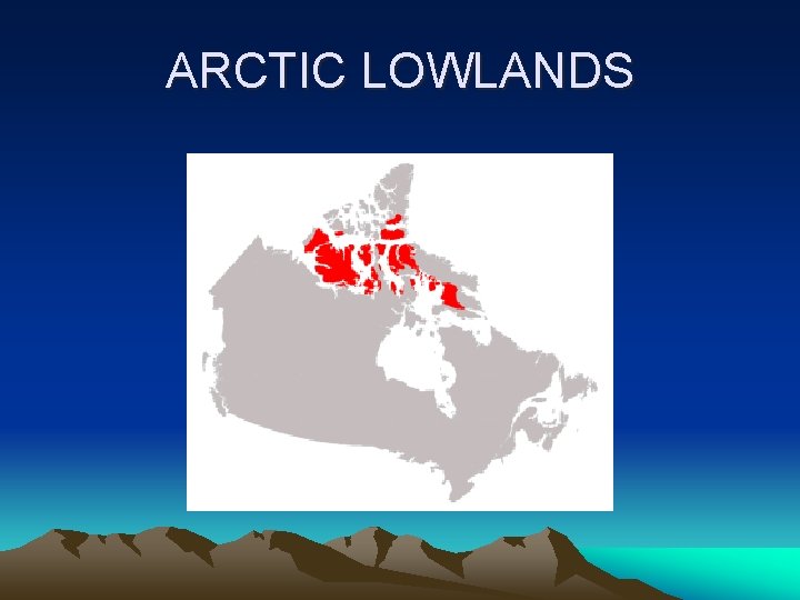 ARCTIC LOWLANDS 