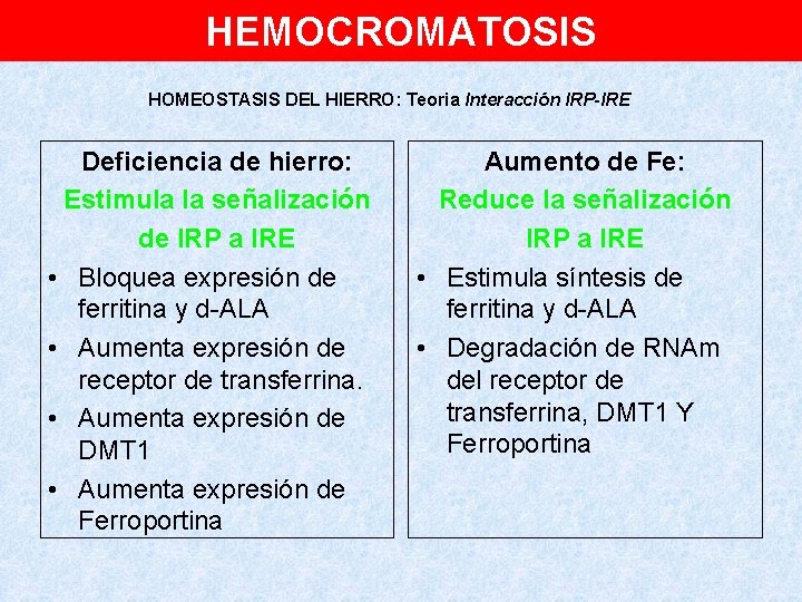 HEMOCROMATOSIS HOMEOSTASIS DEL HIERRO: Teoria Interacción IRP-IRE Deficiencia de hierro: Estimula la señalización de