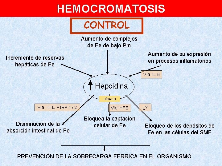 HEMOCROMATOSIS CONTROL Aumento de complejos de Fe de bajo Pm Aumento de su expresión