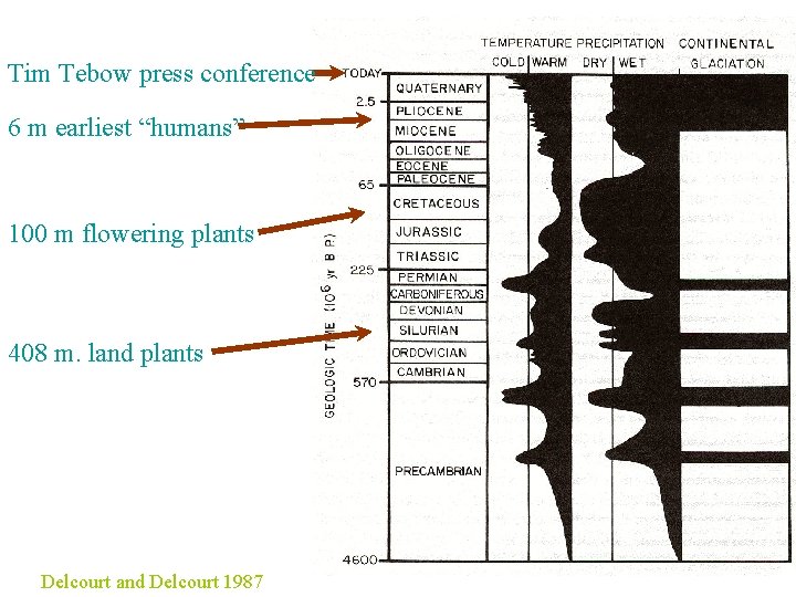 Tim Tebow press conference 6 m earliest “humans” 100 m flowering plants 408 m.