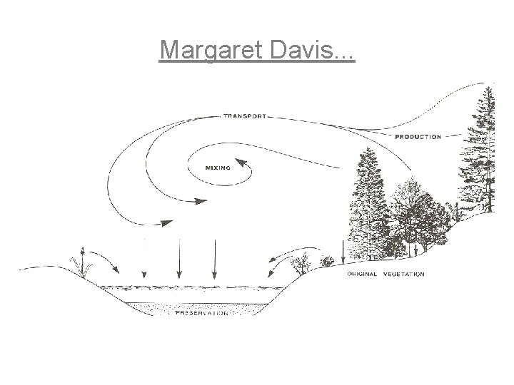Margaret Davis. . . 