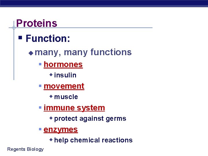 Proteins § Function: u many, many functions § hormones w insulin § movement w