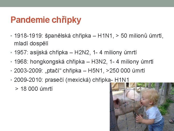 Pandemie chřipky • 1918 -1919: španělská chřipka – H 1 N 1, > 50