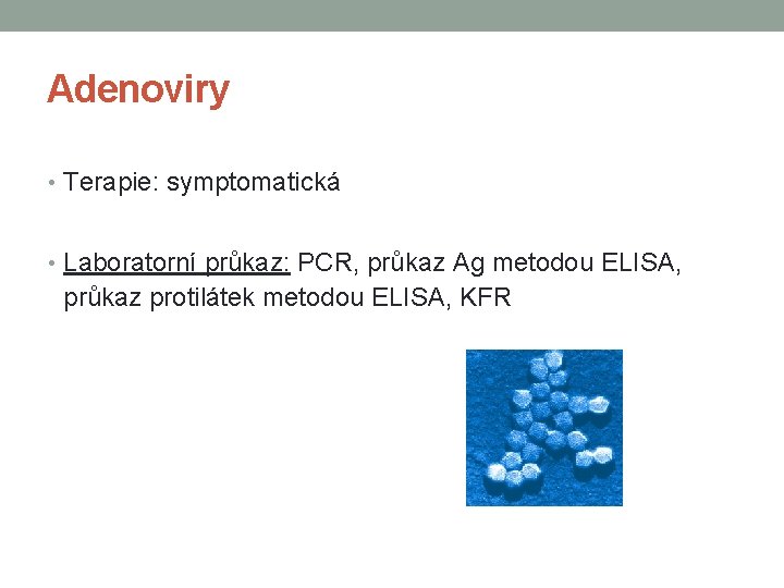 Adenoviry • Terapie: symptomatická • Laboratorní průkaz: PCR, průkaz Ag metodou ELISA, průkaz protilátek