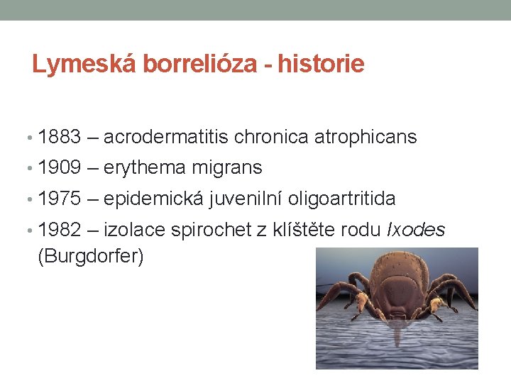 Lymeská borrelióza - historie • 1883 – acrodermatitis chronica atrophicans • 1909 – erythema