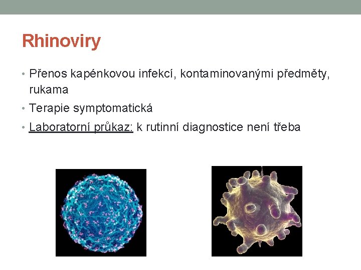 Rhinoviry • Přenos kapénkovou infekcí, kontaminovanými předměty, rukama • Terapie symptomatická • Laboratorní průkaz: