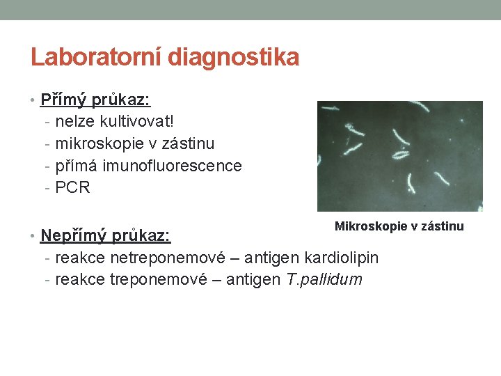 Laboratorní diagnostika • Přímý průkaz: - nelze kultivovat! - mikroskopie v zástinu - přímá