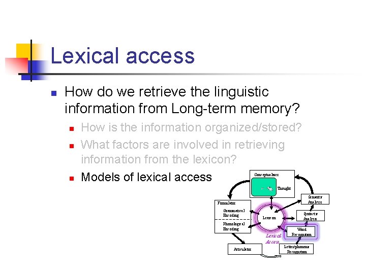 Lexical access n How do we retrieve the linguistic information from Long-term memory? n