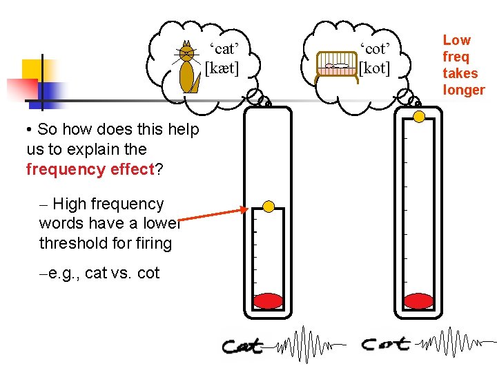 ‘cat’ [kæt] • So how does this help us to explain the frequency effect?
