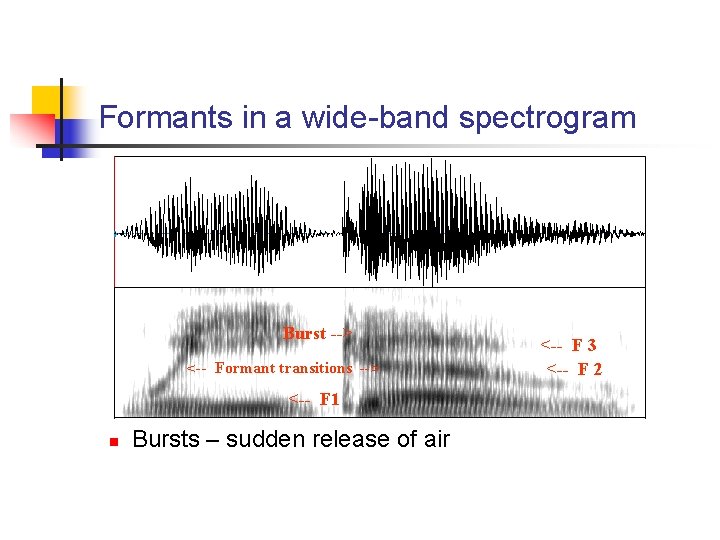 Formants in a wide-band spectrogram Burst --> <-- Formant transitions --> <-- F 1