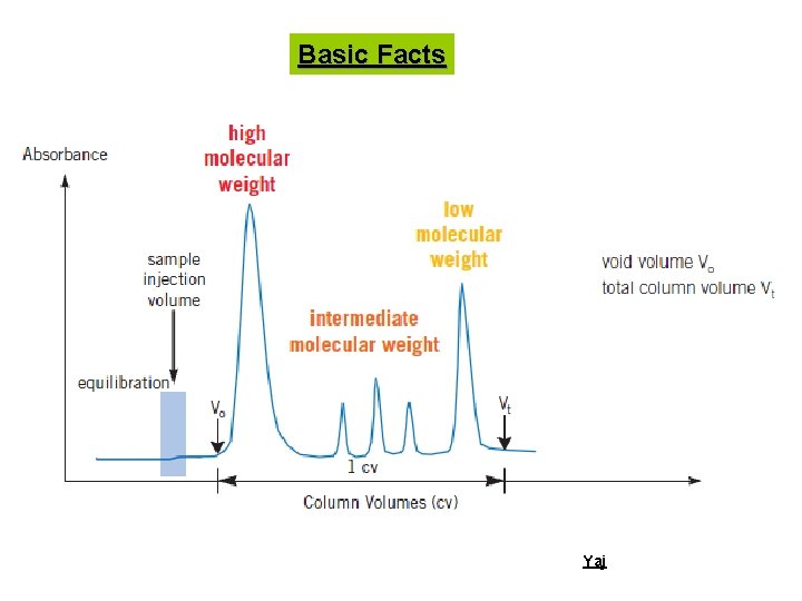 Basic Facts Yaj 