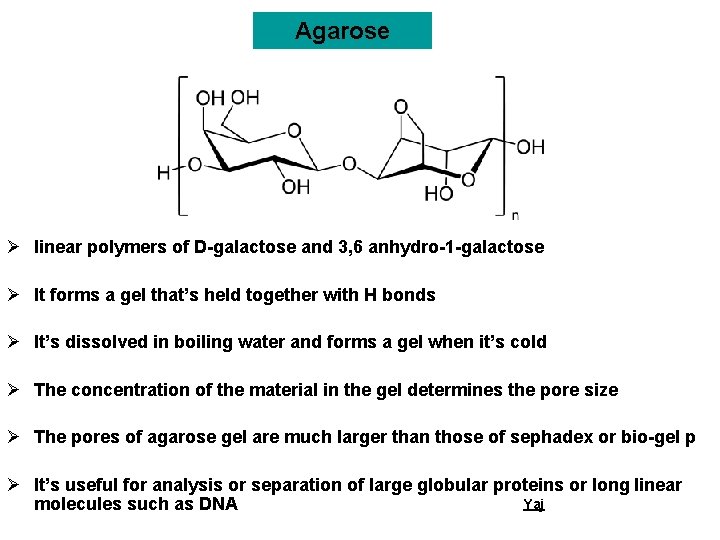 Agarose Ø linear polymers of D-galactose and 3, 6 anhydro-1 -galactose Ø It forms