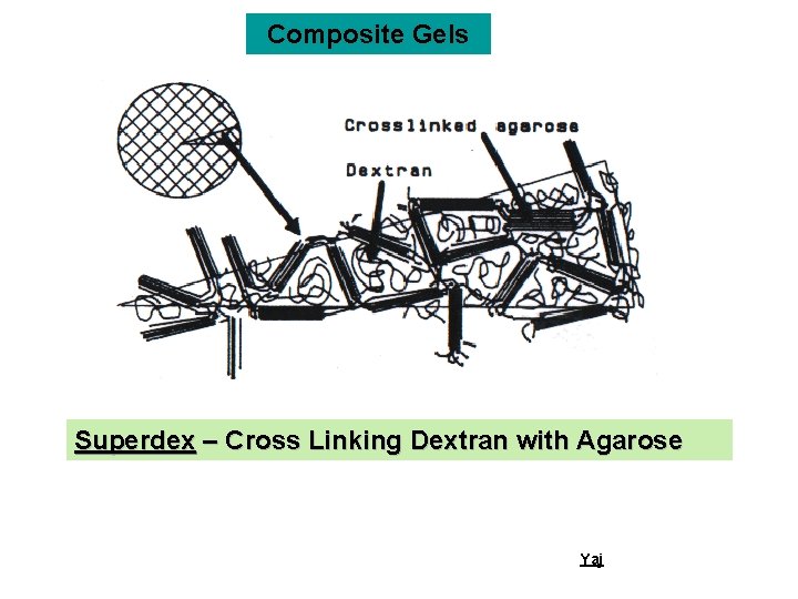 Composite Gels Superdex – Cross Linking Dextran with Agarose Yaj 