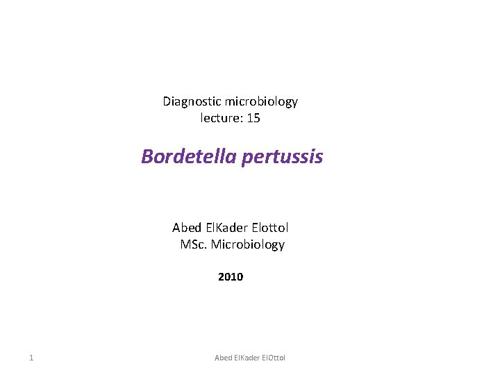Diagnostic microbiology lecture: 15 Bordetella pertussis Abed El. Kader Elottol MSc. Microbiology 2010 1