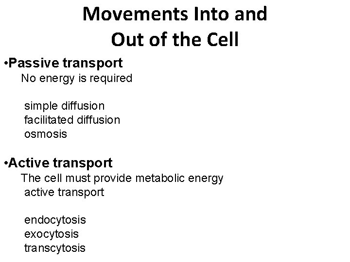 Movements Into and Out of the Cell Passive