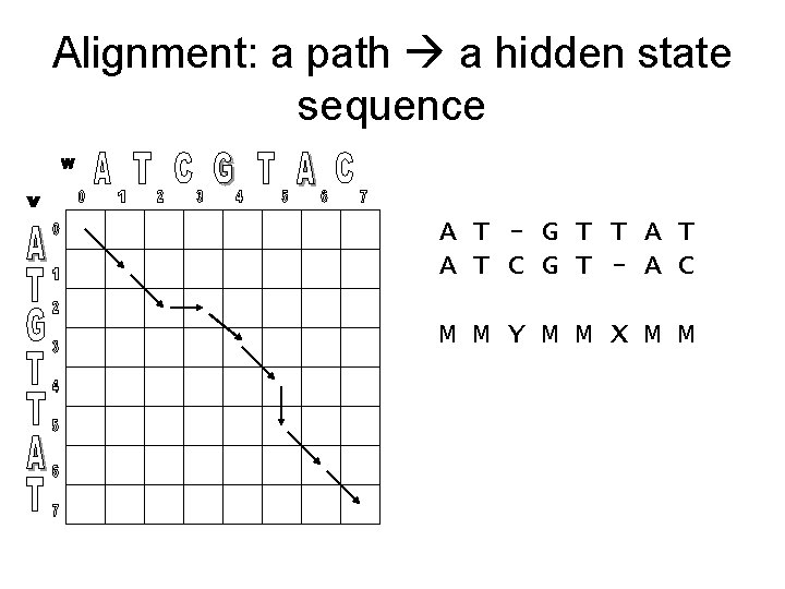 Alignment: a path a hidden state sequence A T - G T T A