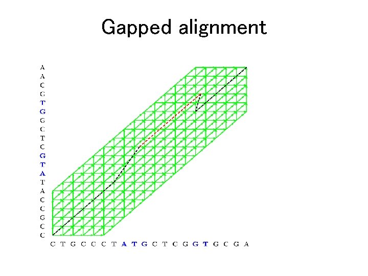 Gapped alignment 