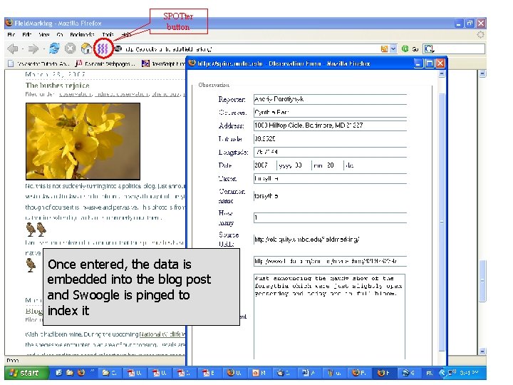 SPOTter button Once entered, the data is embedded into the blog post and Swoogle