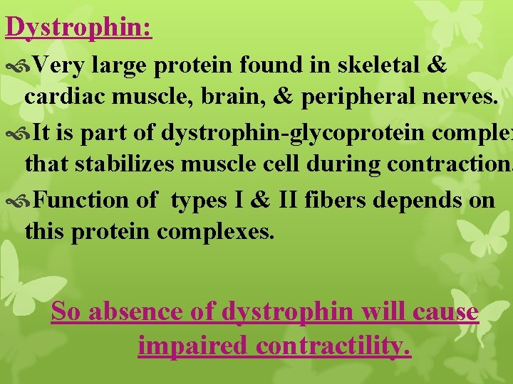Dystrophin: Very large protein found in skeletal & cardiac muscle, brain, & peripheral nerves.