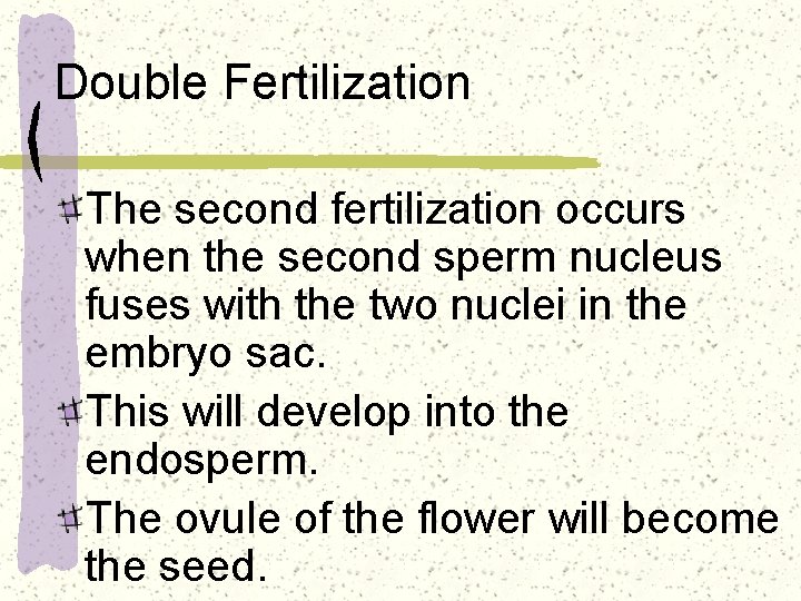 Double Fertilization The second fertilization occurs when the second sperm nucleus fuses with the
