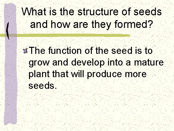 What is the structure of seeds and how are they formed? The function of