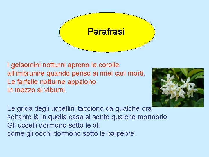 Parafrasi I gelsomini notturni aprono le corolle all'imbrunire quando penso ai miei cari morti.