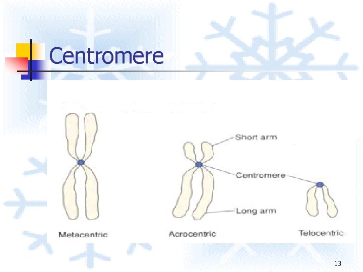 Centromere 13 Centromere 13