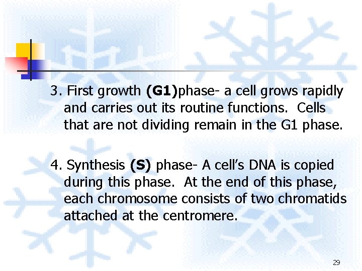 3. First growth (G 1)phase- a cell grows rapidly and carries out its routine 3. First growth (G 1)phase- a cell grows rapidly and carries out its routine