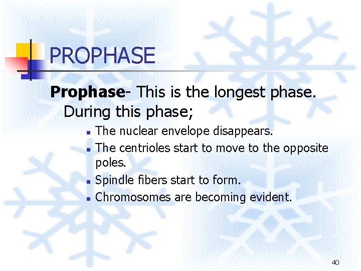 PROPHASE Prophase- This is the longest phase. During this phase; n n The nuclear PROPHASE Prophase- This is the longest phase. During this phase; n n The nuclear