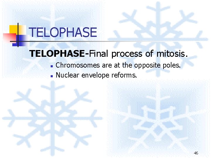 TELOPHASE-Final process of mitosis. n n Chromosomes are at the opposite poles. Nuclear envelope TELOPHASE-Final process of mitosis. n n Chromosomes are at the opposite poles. Nuclear envelope