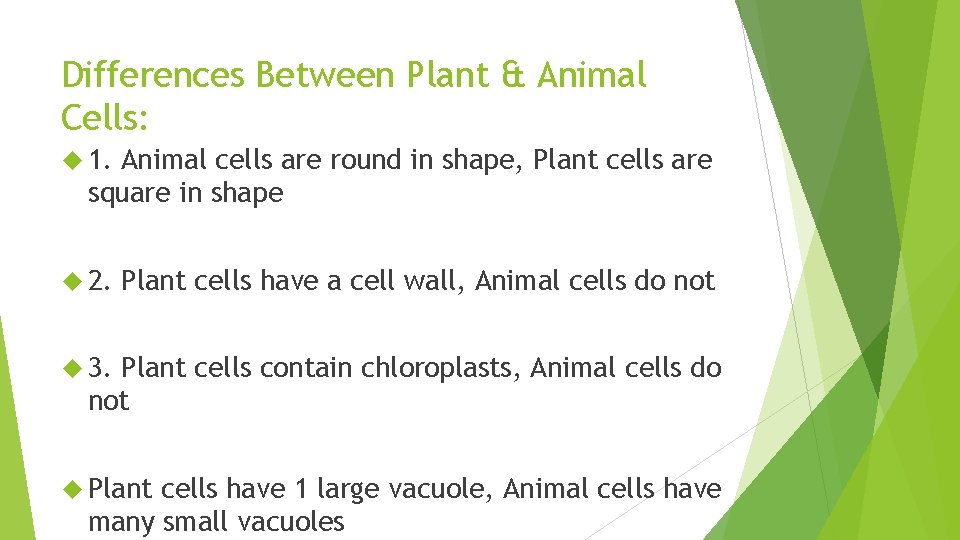 Differences Between Plant & Animal Cells: 1. Animal cells are round in shape, Plant