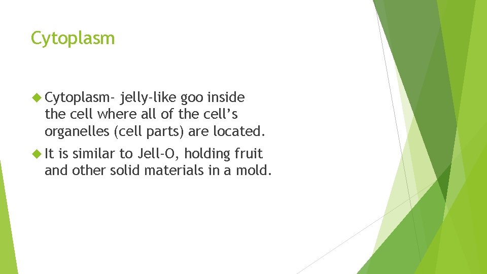 Cytoplasm Cytoplasm- jelly-like goo inside the cell where all of the cell’s organelles (cell