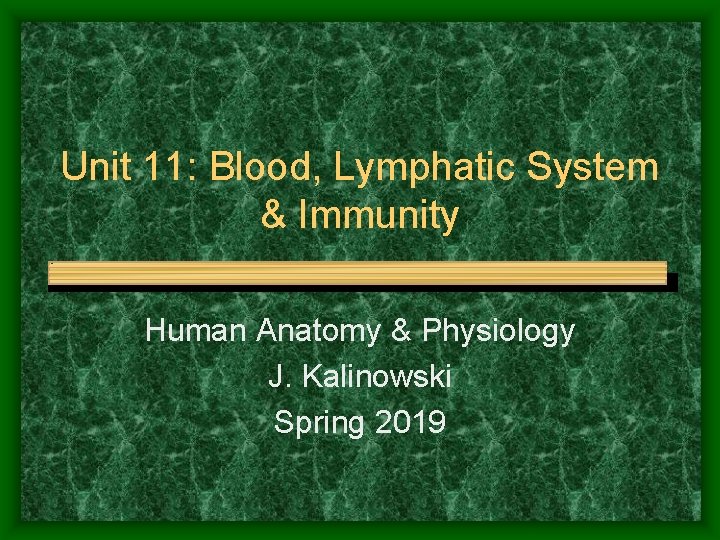 Unit 11: Blood, Lymphatic System & Immunity Human Anatomy & Physiology J. Kalinowski Spring