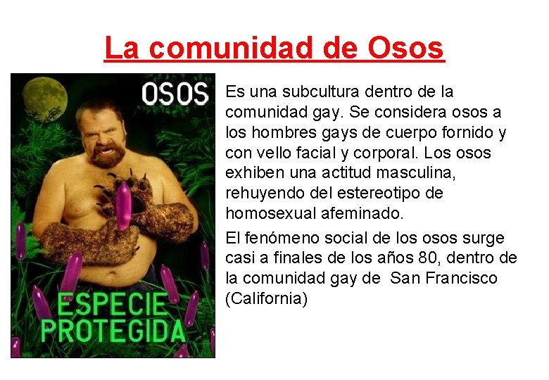 La comunidad de Osos Es una subcultura dentro de la comunidad gay. Se considera