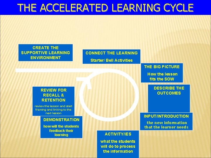 THE ACCELERATED LEARNING CYCLE CREATE THE SUPPORTIVE LEARNING ENVIRONMENT CONNECT THE LEARNING Starter/ Bell