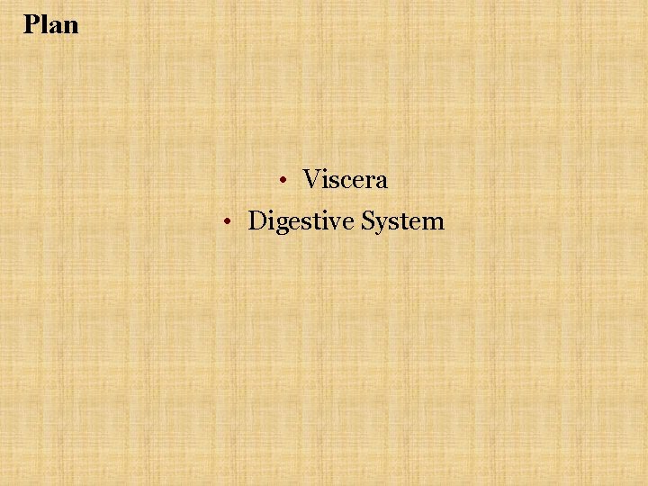 Plan • Viscera • Digestive System Plan • Viscera • Digestive System