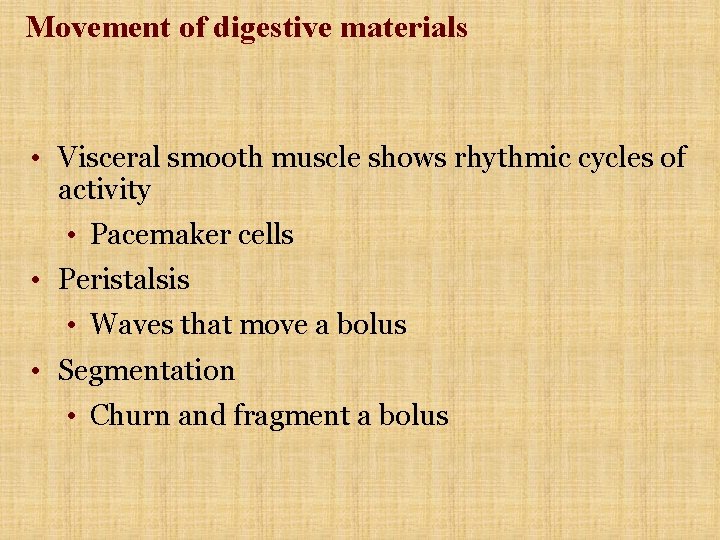 Movement of digestive materials • Visceral smooth muscle shows rhythmic cycles of activity • Movement of digestive materials • Visceral smooth muscle shows rhythmic cycles of activity •