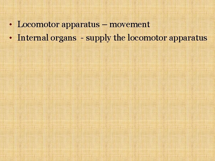 • Locomotor apparatus – movement • Internal organs - supply the locomotor apparatus • Locomotor apparatus – movement • Internal organs - supply the locomotor apparatus