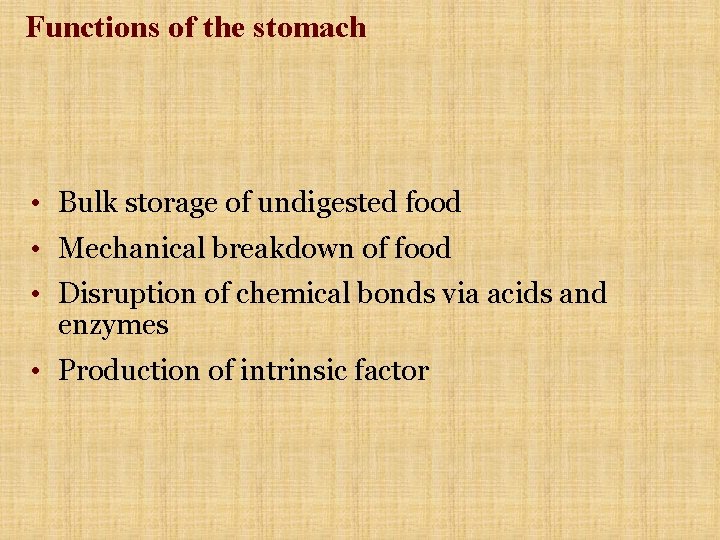 Functions of the stomach • Bulk storage of undigested food • Mechanical breakdown of Functions of the stomach • Bulk storage of undigested food • Mechanical breakdown of