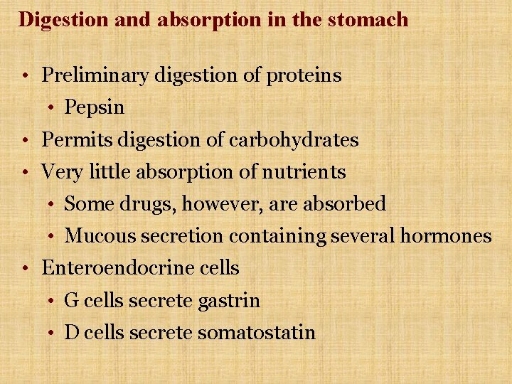 Digestion and absorption in the stomach • Preliminary digestion of proteins • Pepsin • Digestion and absorption in the stomach • Preliminary digestion of proteins • Pepsin •